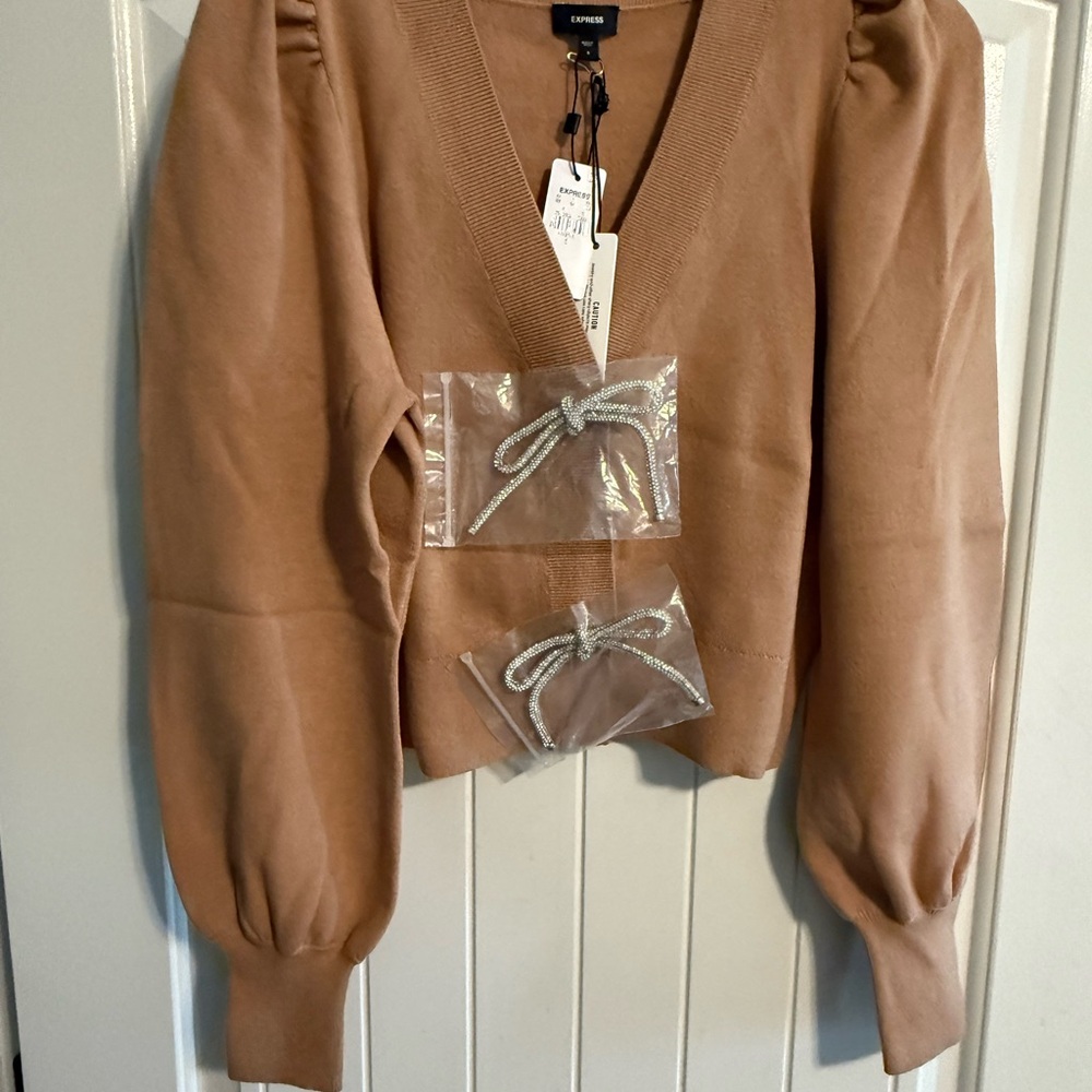Express Camel V-Neck Sweater